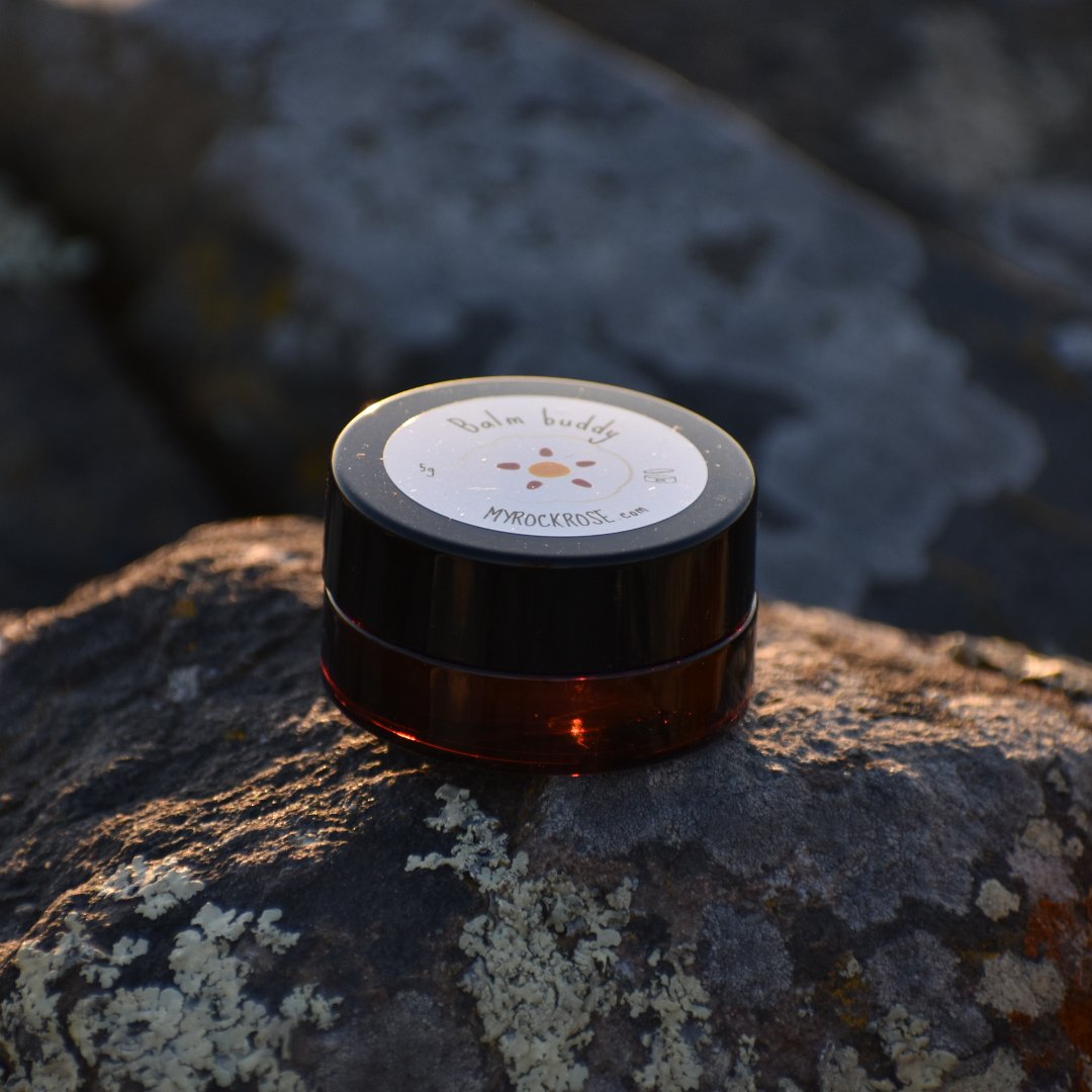 Balm buddy 5g – pot