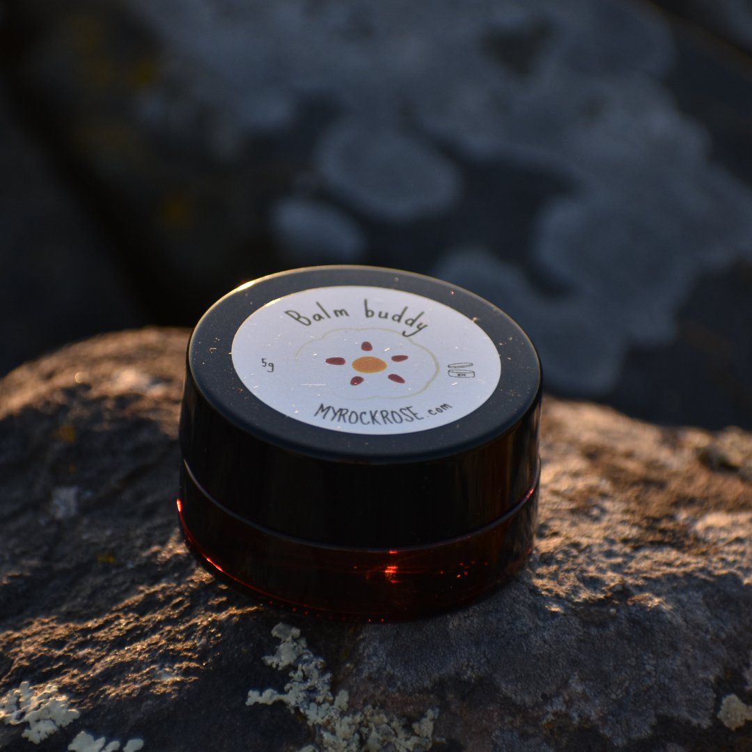 Balm buddy 5g - pot - Image 3