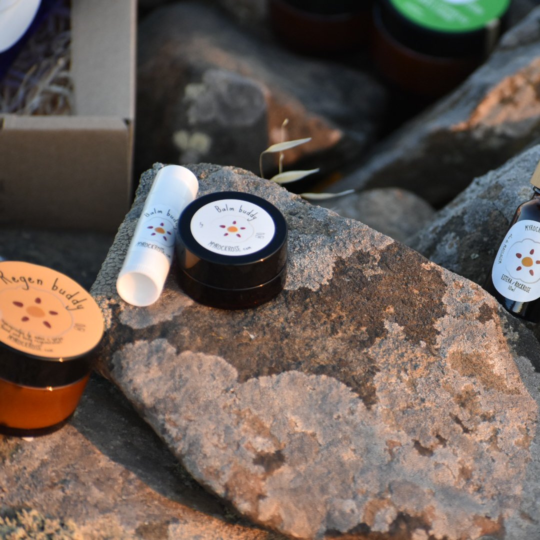 Balm buddy 5g - pot - Image 2